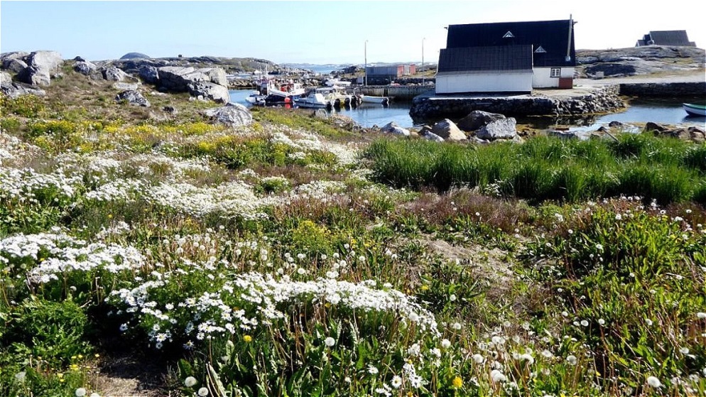Der kleine Fischereihafen
