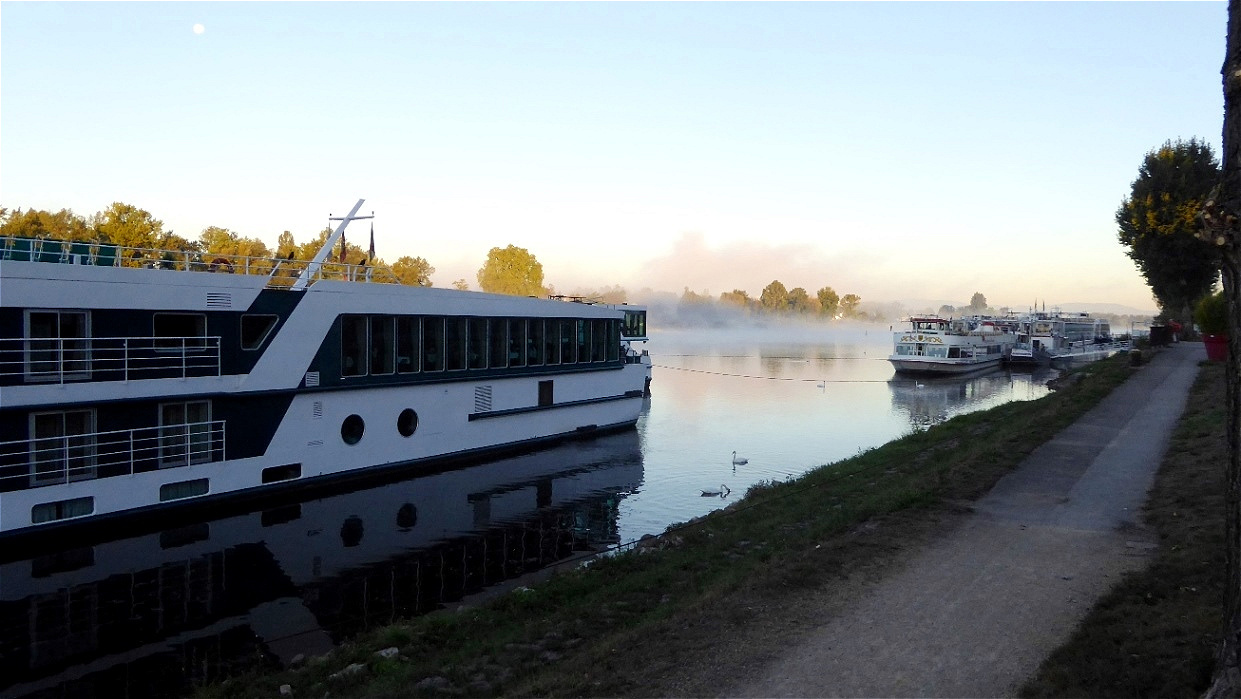 Früher Morgen in Breisach