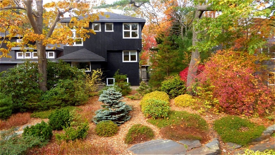 Farbenprächtiger Garten