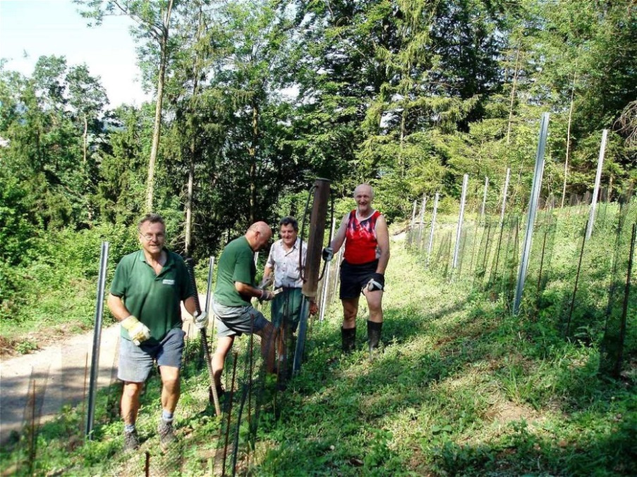 Die Metallstangen werden in den Boden gerammt