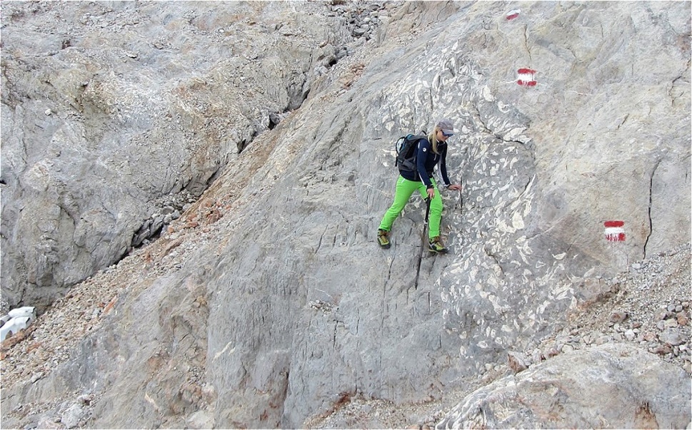 Es gibt ur wenige - relativ schlechte Versicherungen