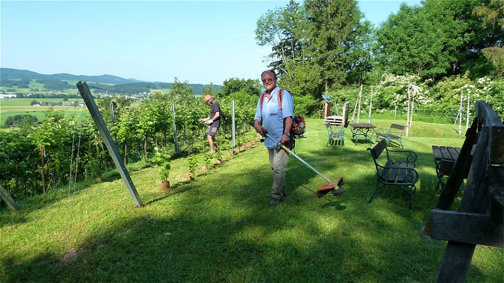 Auf geht`s zur Grasmahd