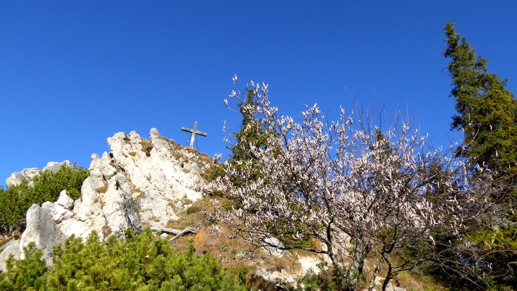 Die letzten Höhenmeter