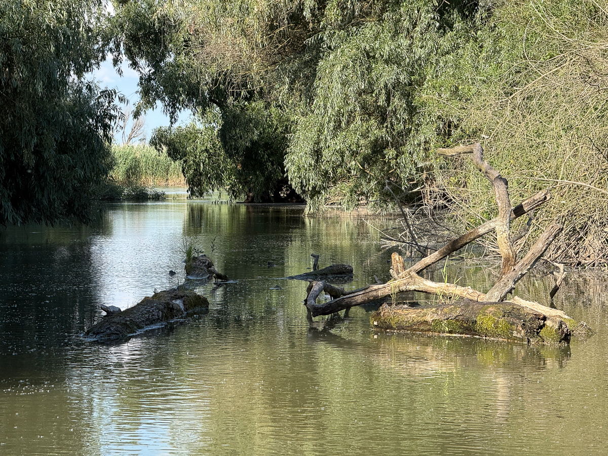 https://0501.nccdn.net/4_2/000/000/017/e75/donaudeltaweb-175.jpg