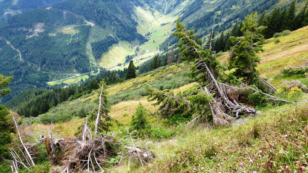 Folgen des Schneedrucks