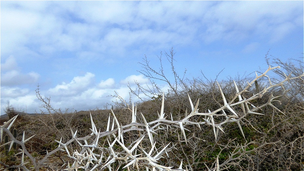 Trockengebiet im Hinterland