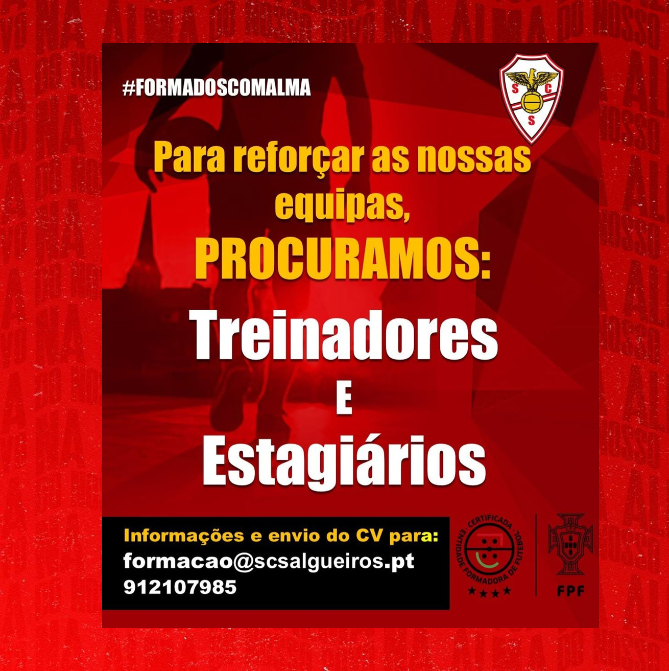 Procuramos reforçar as nossas equipas técnicas 
com novos elementos.
Aproveita a oportunidade para fazer parte 
e evoluir numa das melhores academias de 
Futebol juvenil do País.
Tens o que é preciso para abraçar este projeto 
com Alma?
