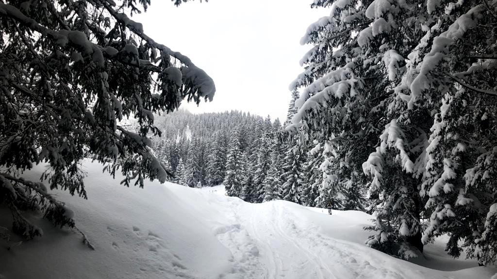 17. Jänner 2021 Goiserer Hütte