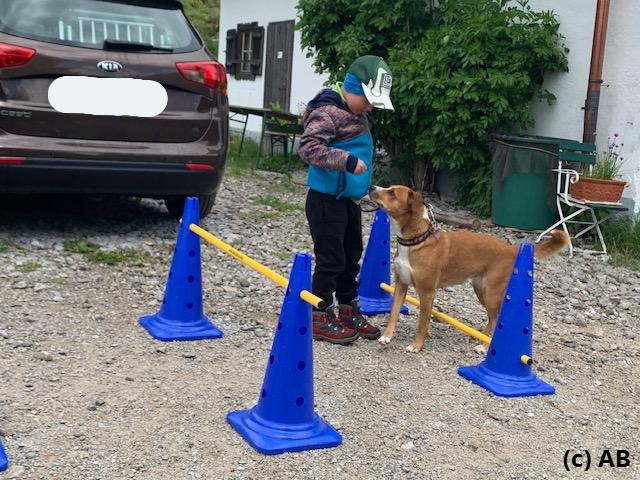 Hindernis 1 - oben drüber