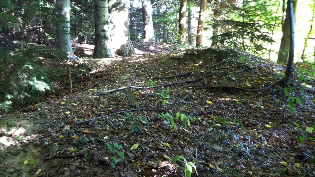 Keltisches Hügelgrab