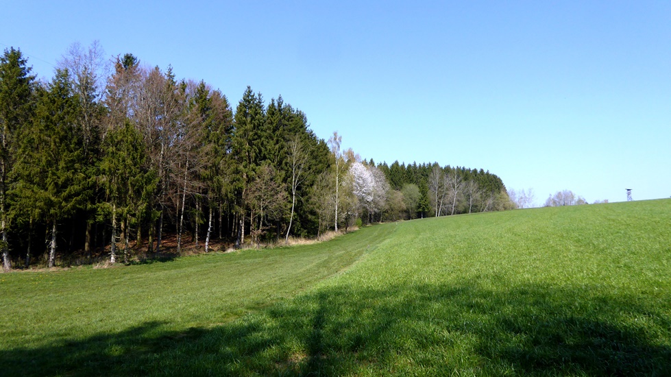 Aufwärts nach Reith