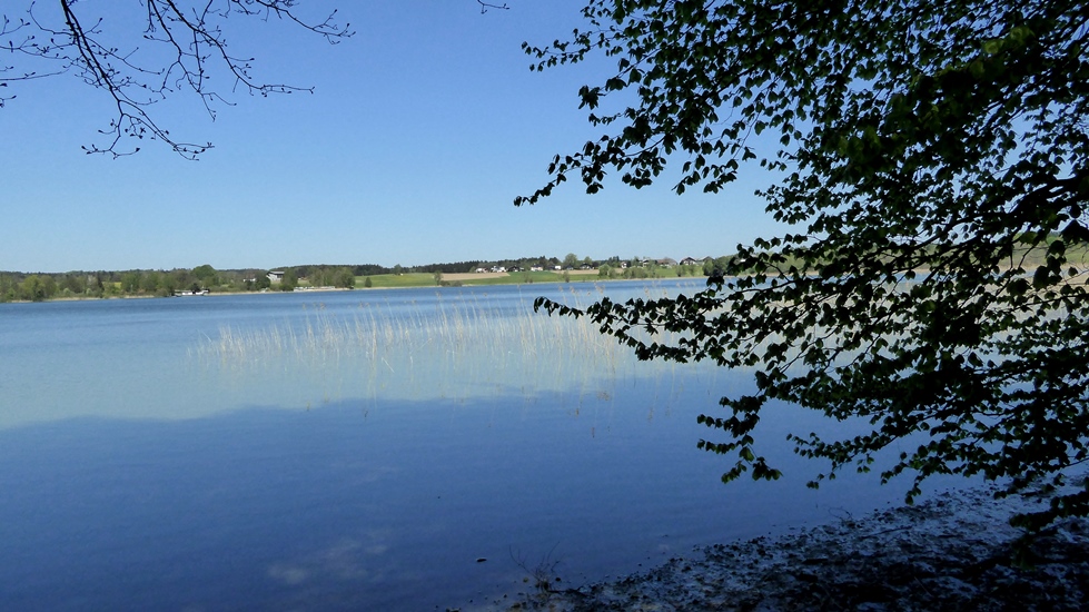 Am Ufer des Grabensees