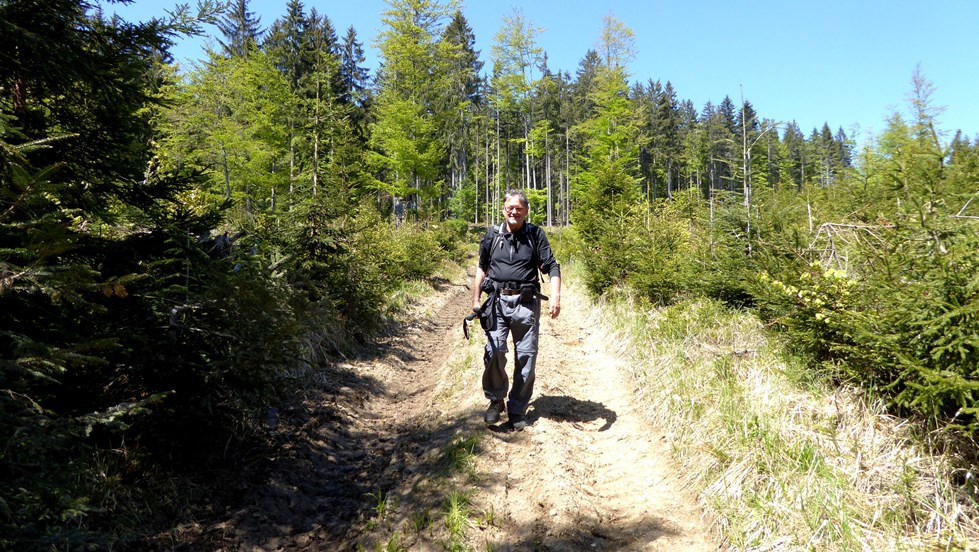 Abstieg vom Kolomanstaferl