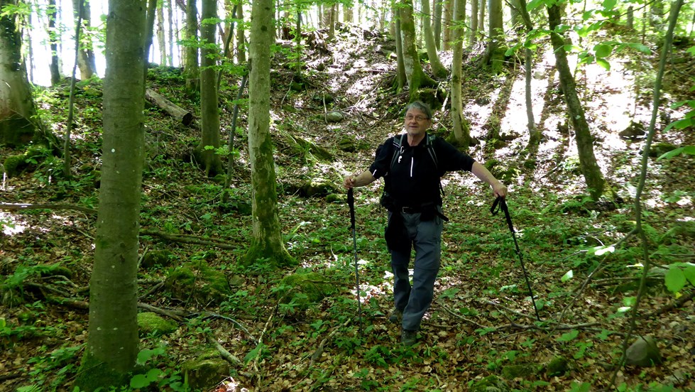 Im ehemaligen Burgareal