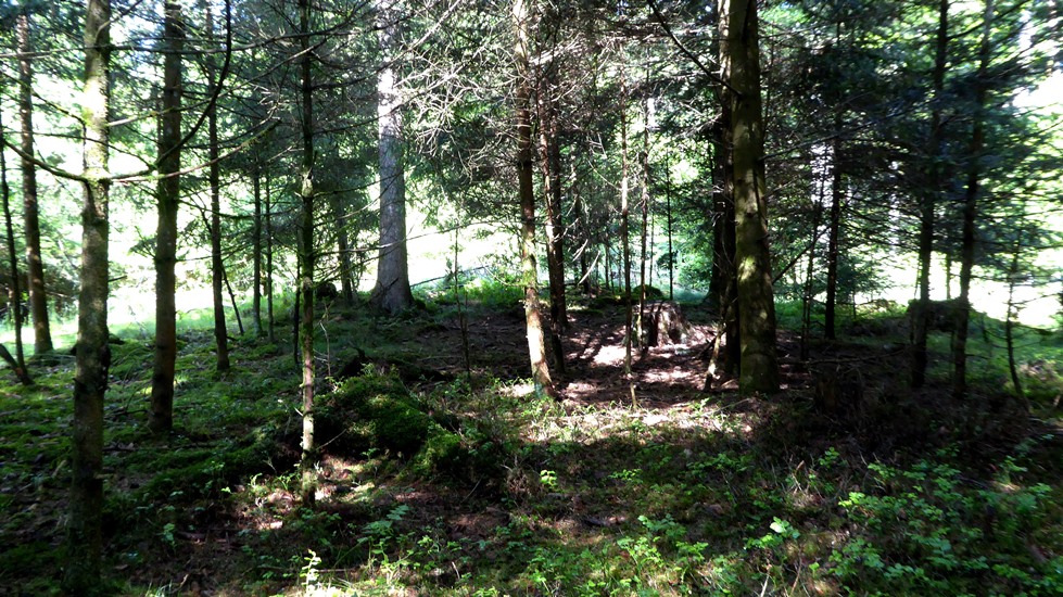 Die Hallstattzeit datiert von 800 - 450 vor Christus