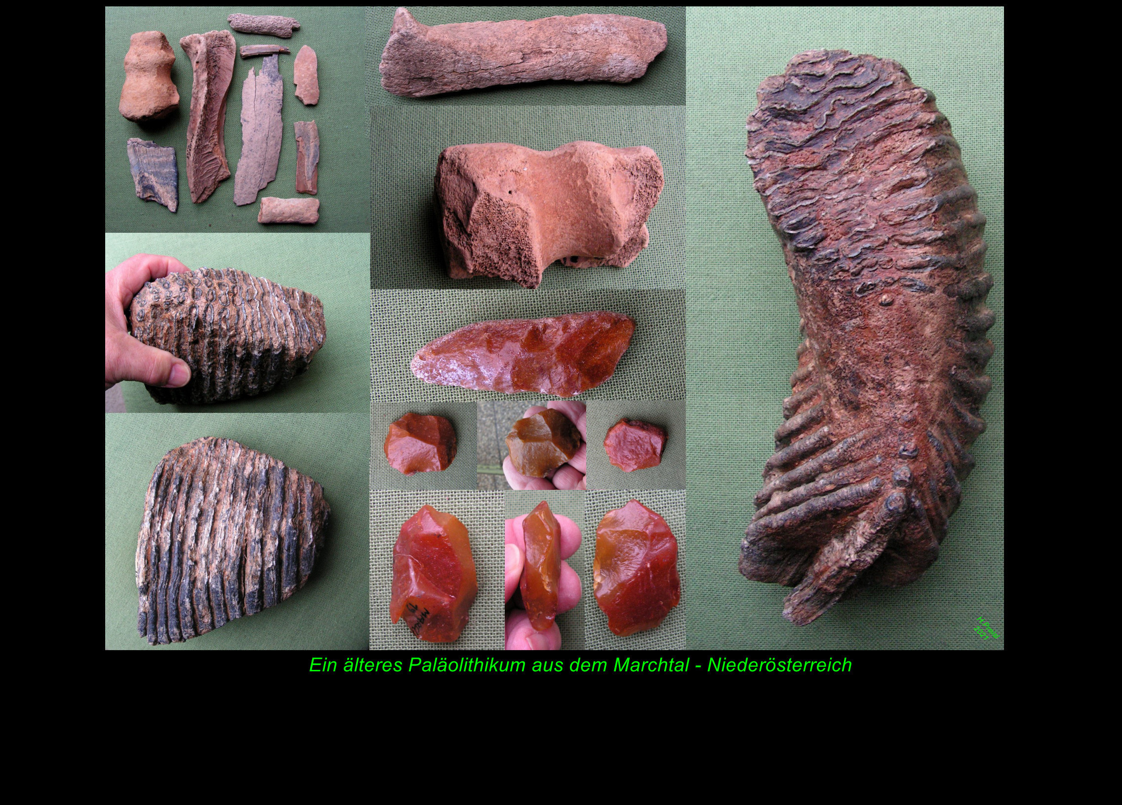 Archäologie u. Paläontologie Archäologie und Paläontologie