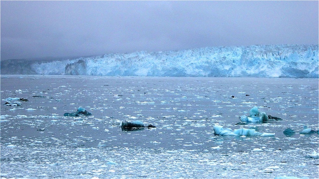 Eine mächtige Mauer aus Eis !
