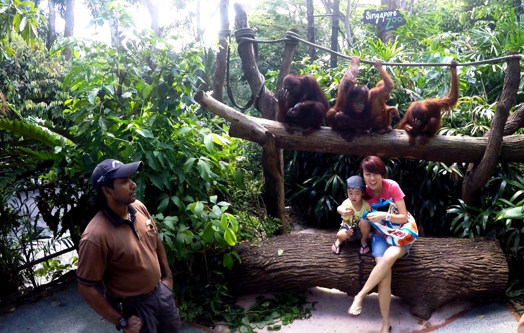 Erinnerungsfoto mit einer Horde junger Orang Utans