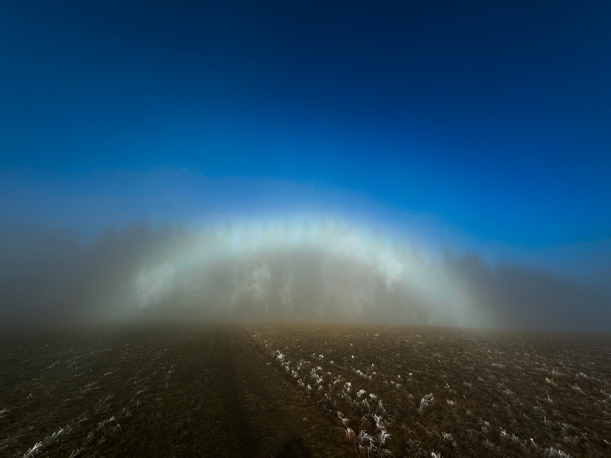 White rainbow on the boundary
layer between fog and clear sky.
iPhone, 14th of Dec. 2025