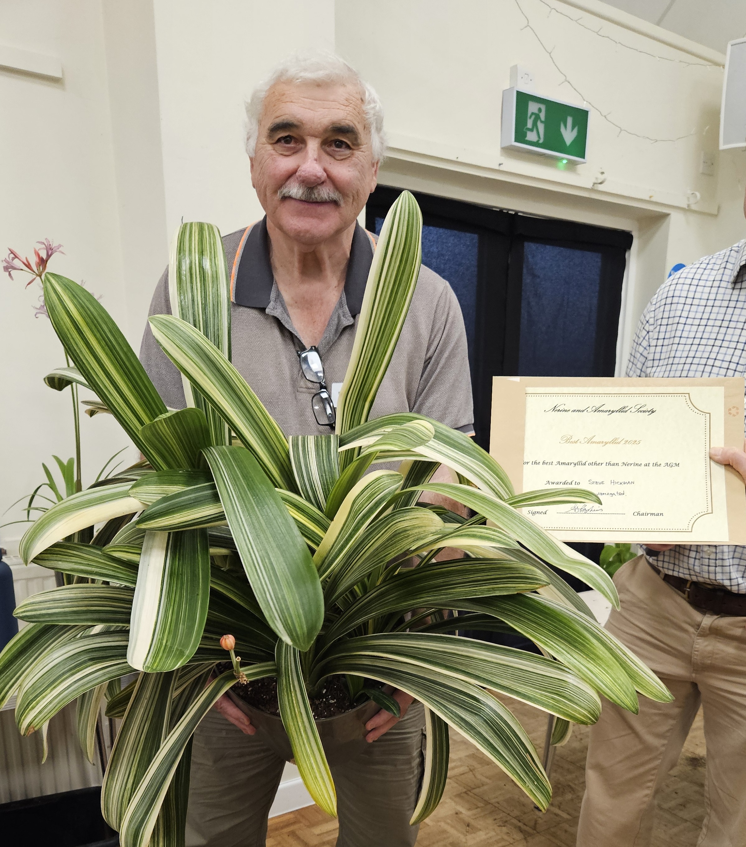 Steve Hickman with his Clivia