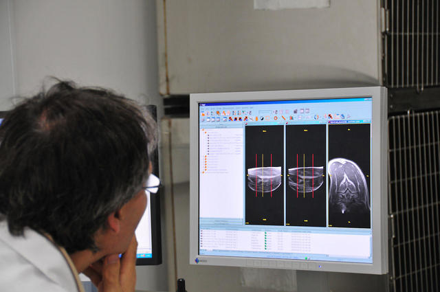 koliko koÅ¡ta magnetna rezonanca psa