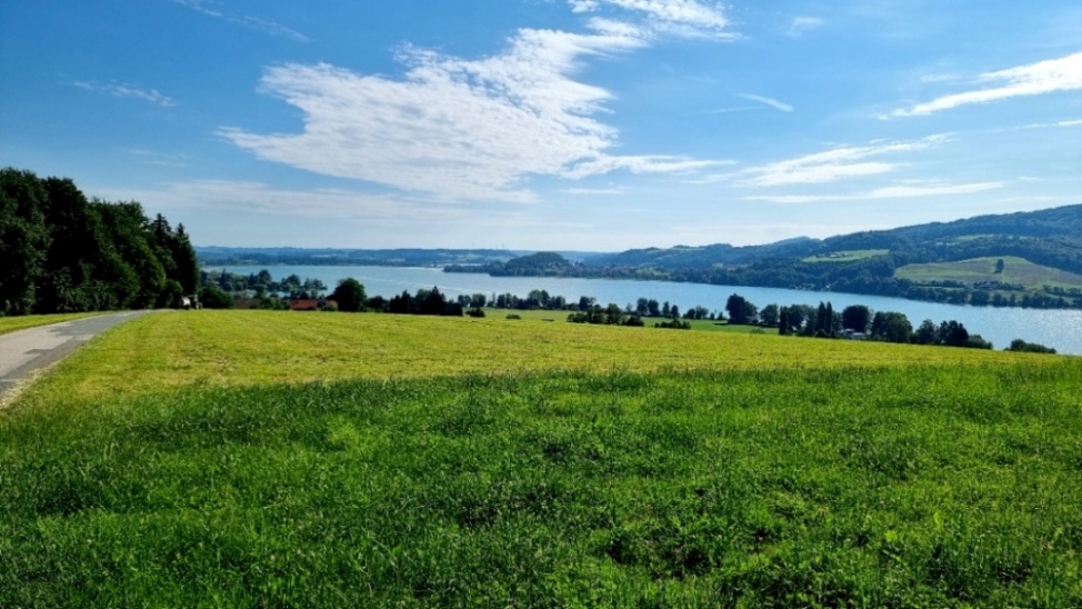 Mattseeblick