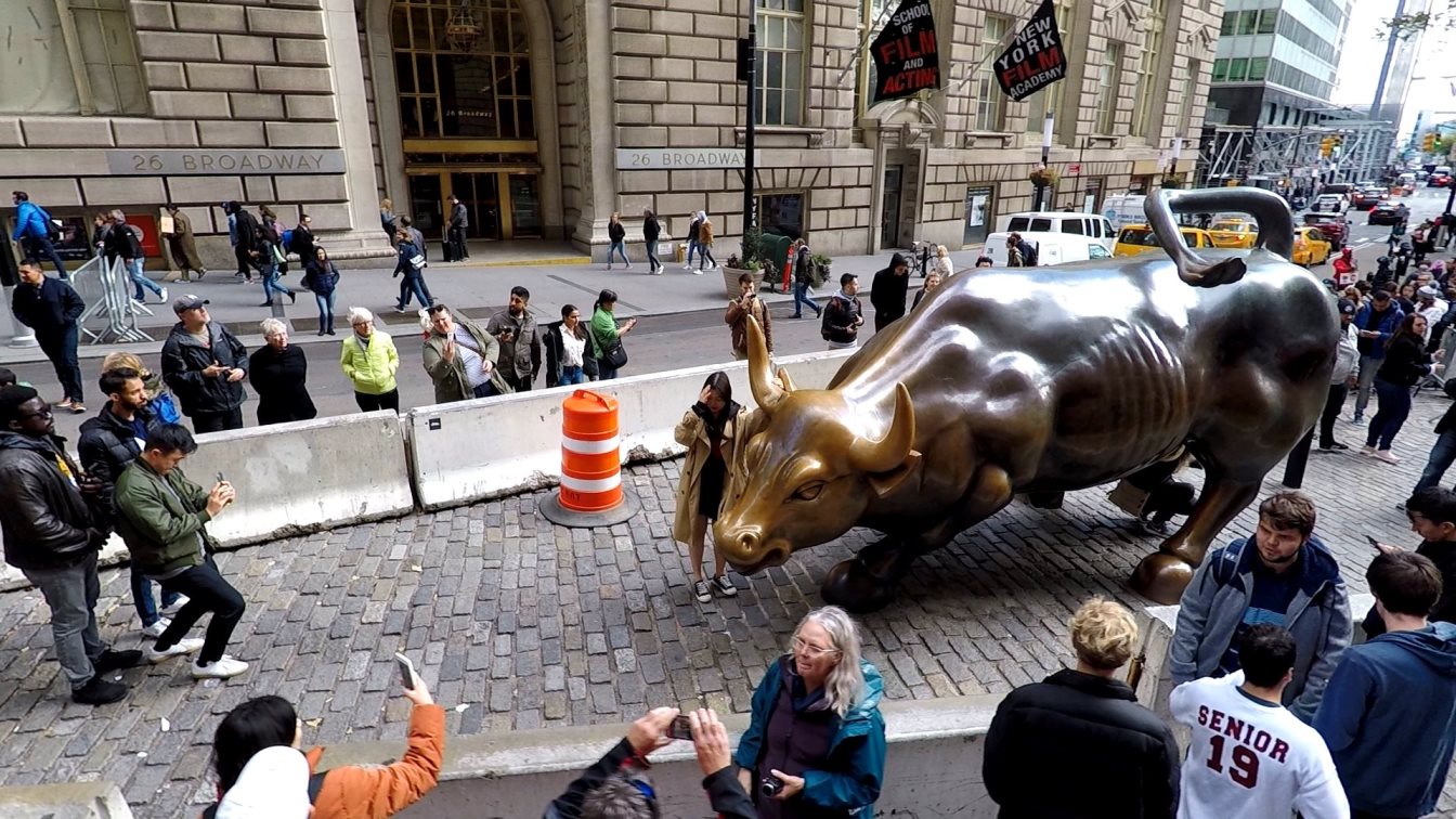 Wall Street Bull  - Charching Bull