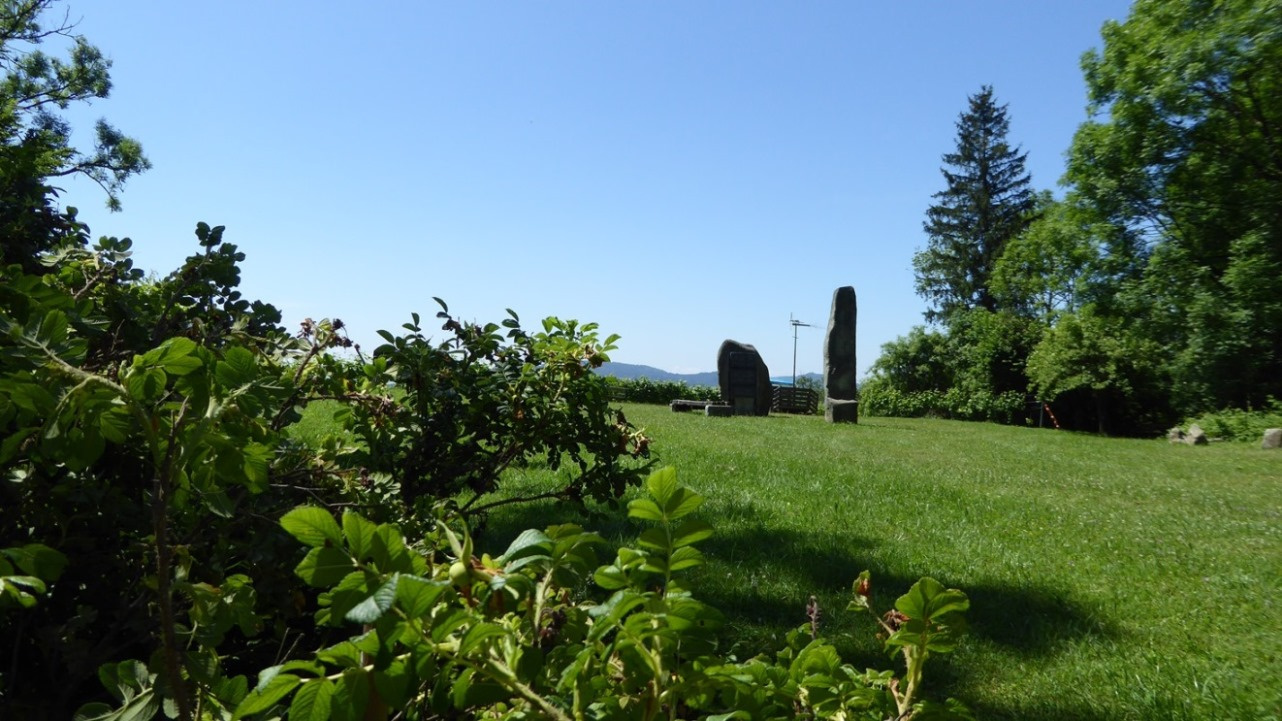 24. Juni - Pflege des Weingartens