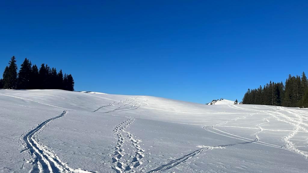8. Februar 2023 - Windkogel-Postalm