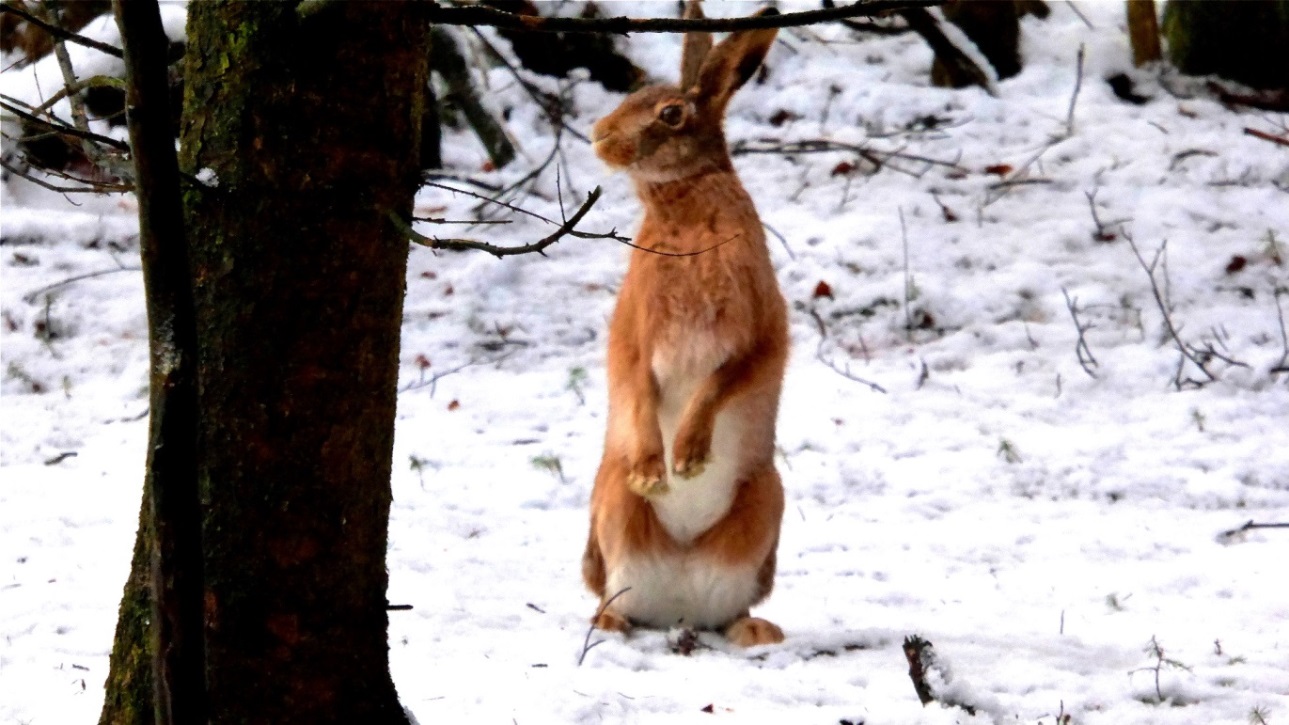 Das muss ich mir genauer anschauen !