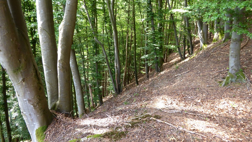 Der Stelabfall nach Südosten