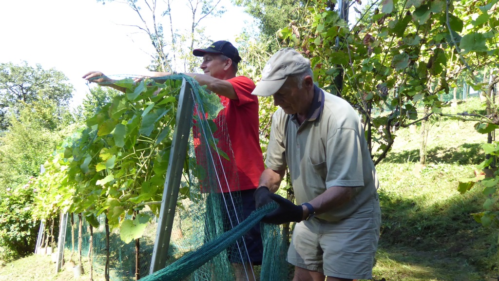 Die erste Seite wird abgedeckt