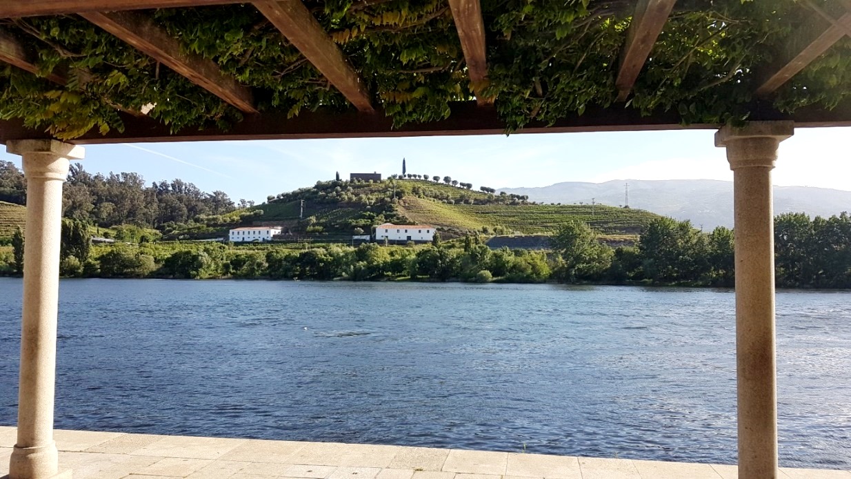 Blick ans andere Ufer