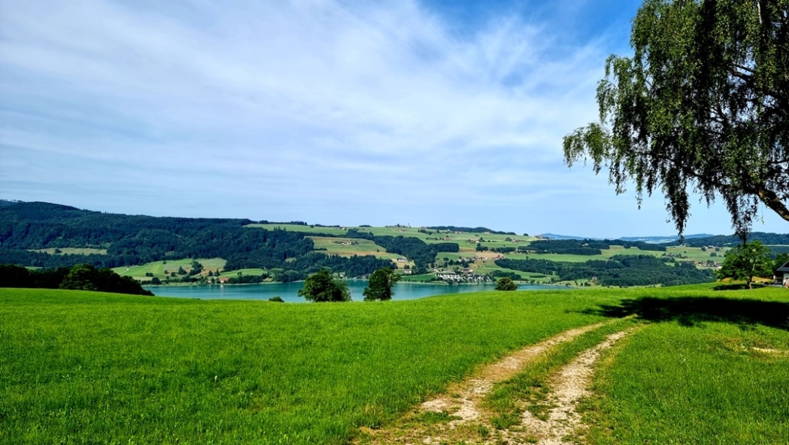 Gassen - Richtung Zell am Moos