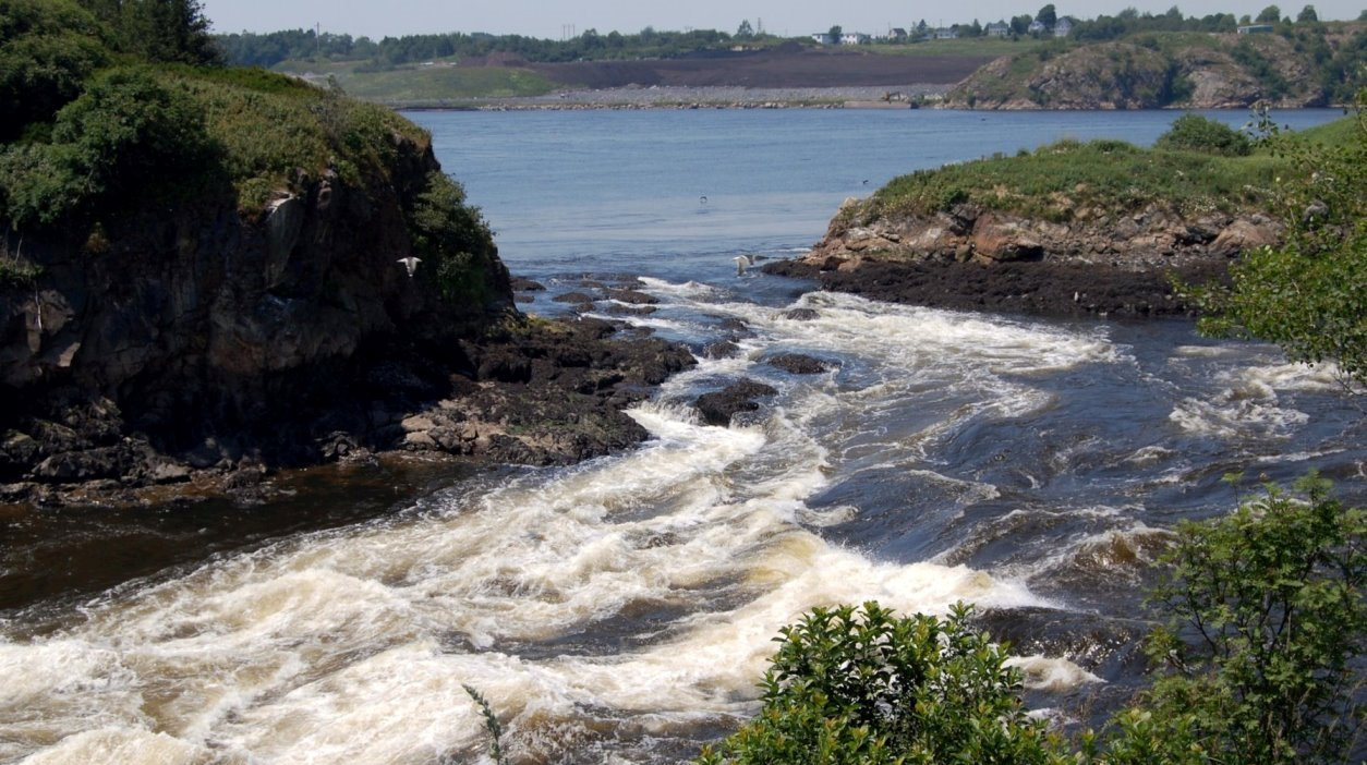 Bei Flut fließt der St. John River rückwärts