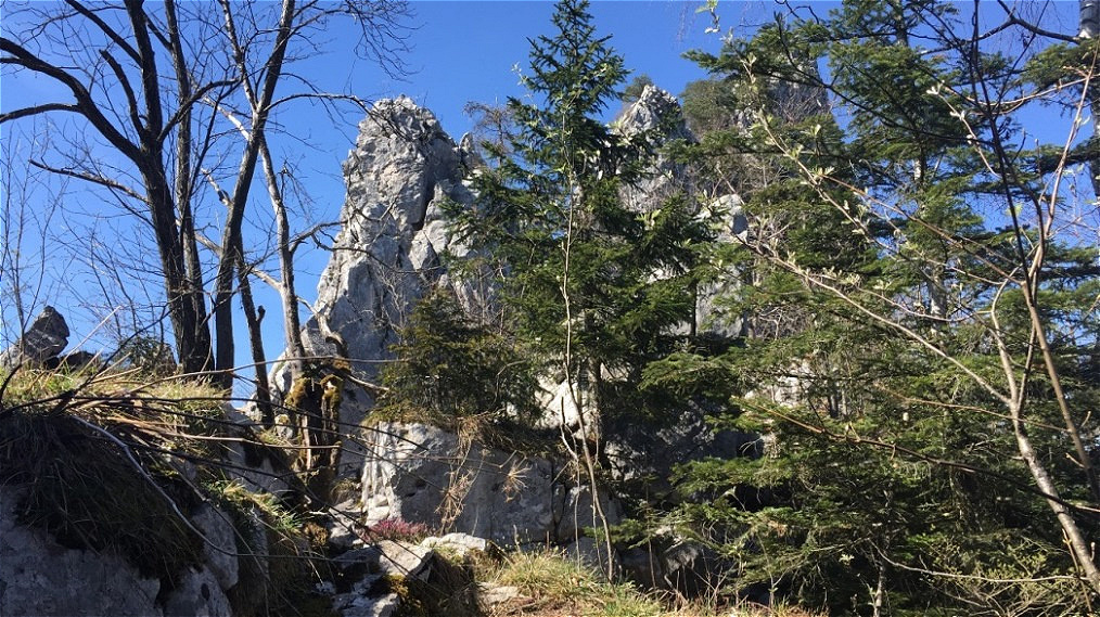 Kleiner Bamstein - 31.03.2017