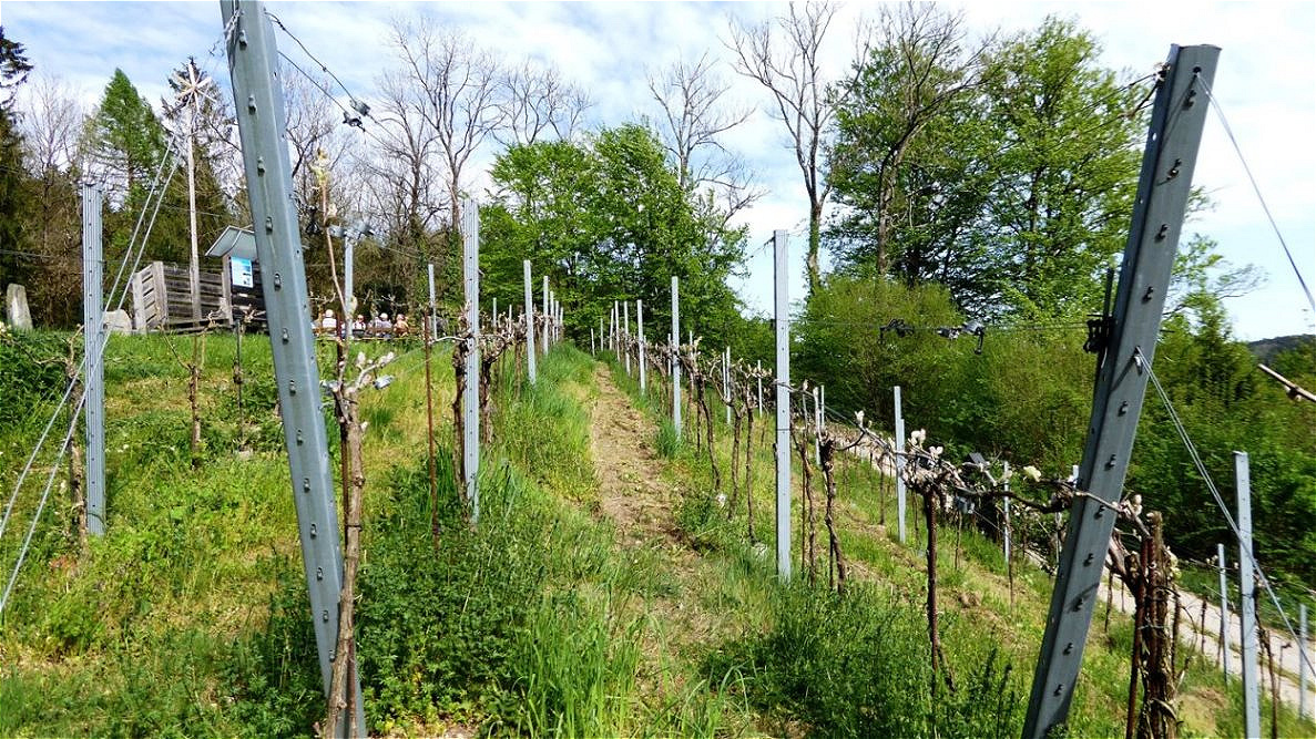 Alles ist wieder hergerichtet