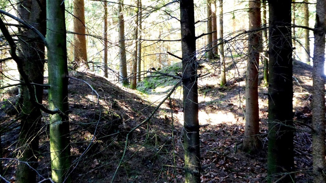 In den Grabhügeln fand man Reste von Tongefäßen und Tonschalen
