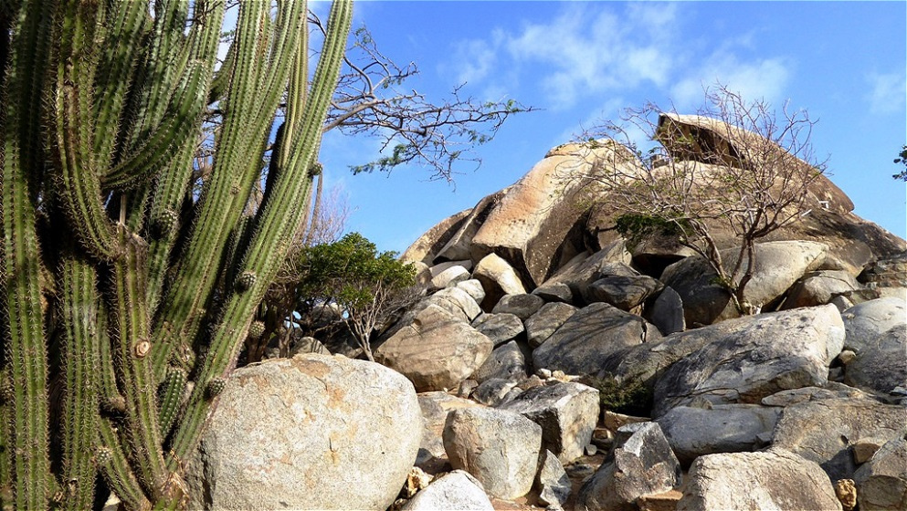 "Casibari Boulders" - diese Felsformationen erheben sich aus dem flachen Wüstenboden