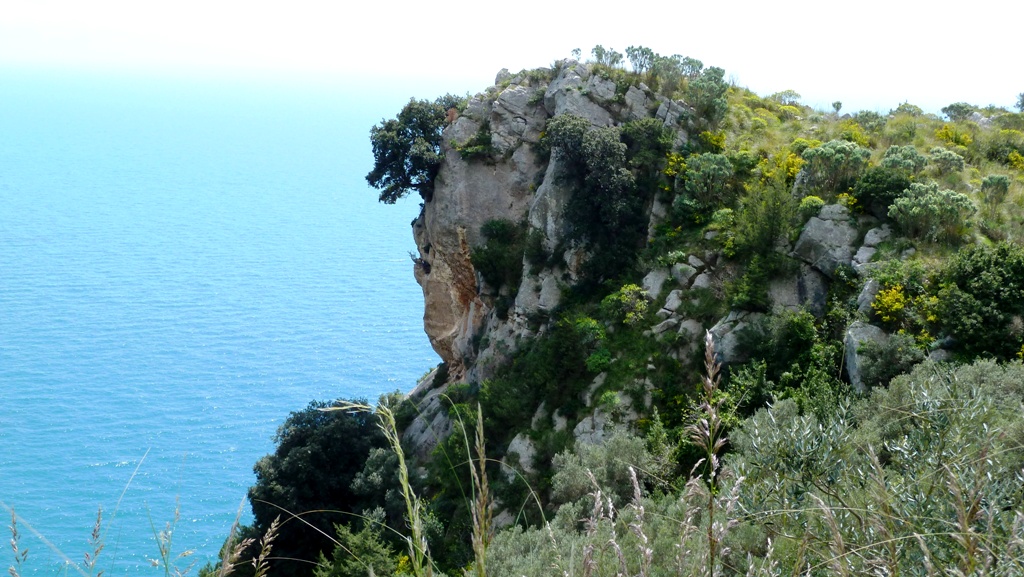 Klippe - menschliches Antlitz