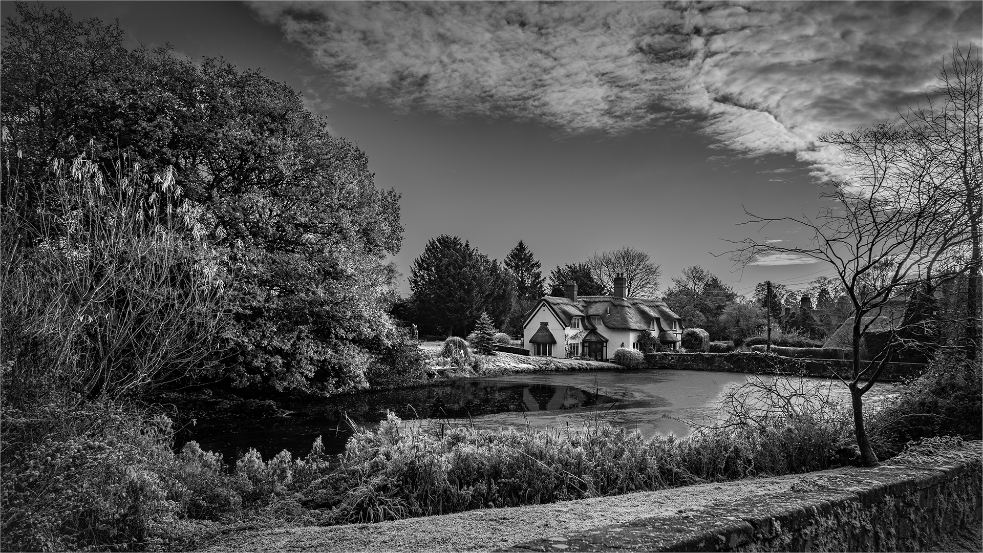 Joint 3rd Place: Badger Town Pool (Michael Bull)