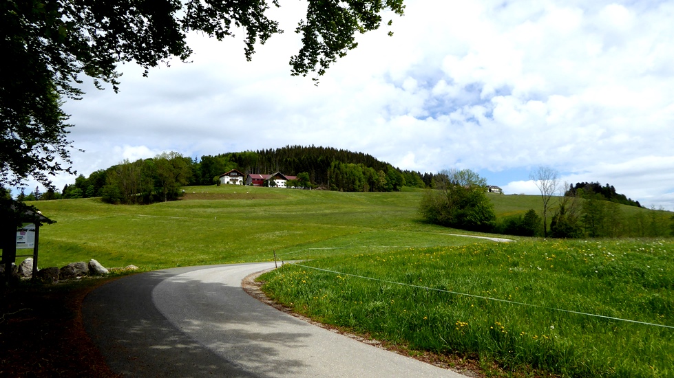Blick hinauf zum Buchberggipfel