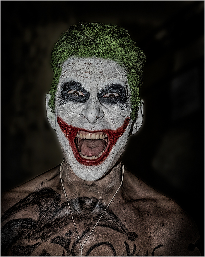 3rd Place: The Joker (Janet Griffiths)
