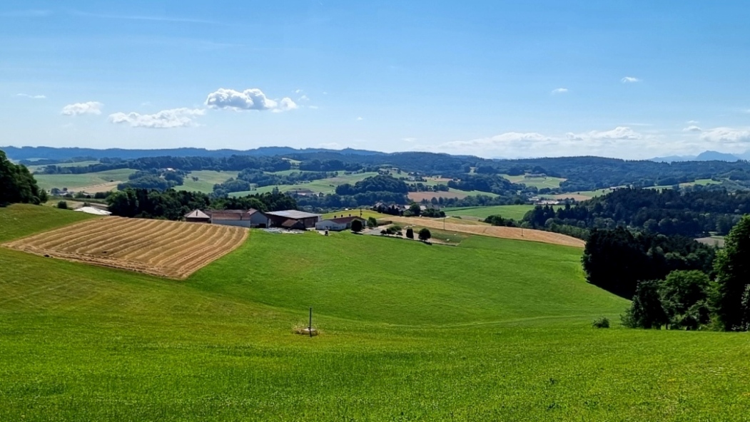KObernaußen - Ausblick