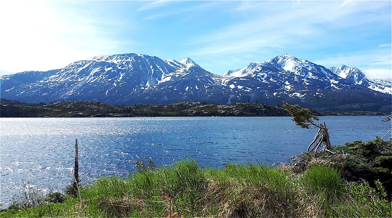 Auf dem "White Pass"