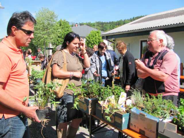 Pflanzentausch 2011 bei der Stockschützenhalle in Friedburg