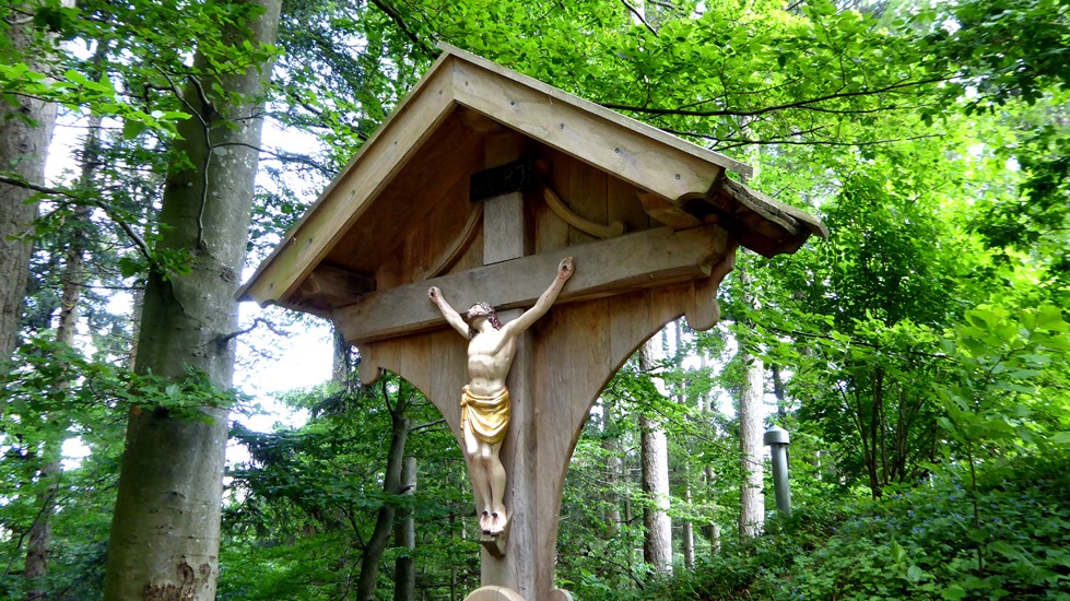 Auf einem Hügel mitten im Wald