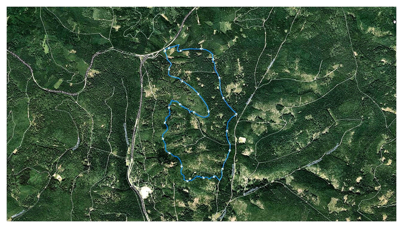 2017_05_29 Stelzen - Winterleiten
