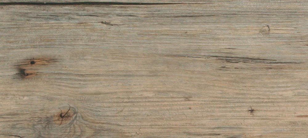 H_L_7062_QUERCIA_SIBERIANA