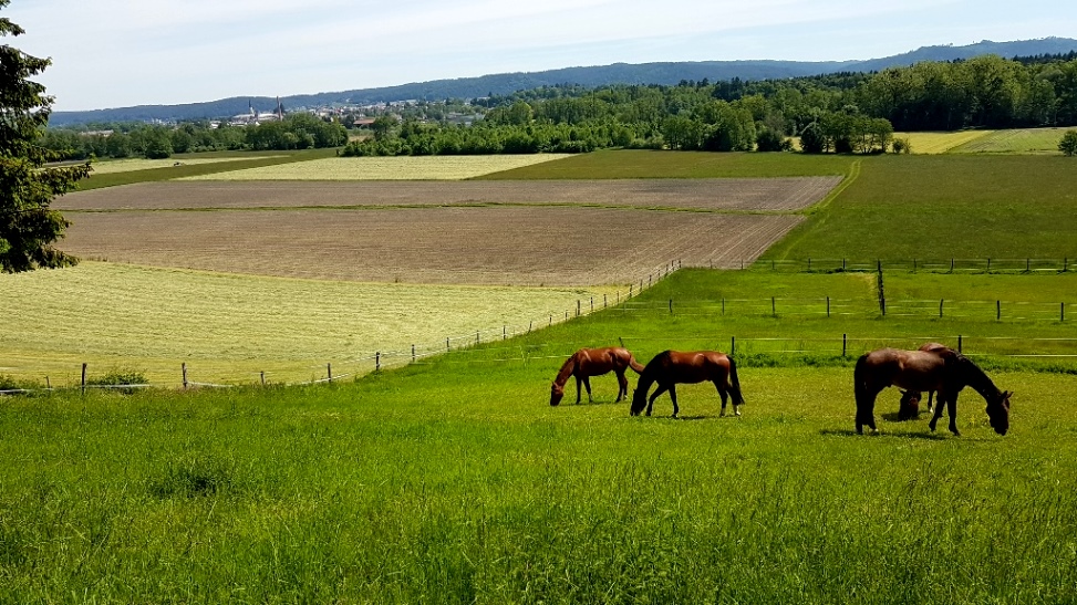 Sollern - Mattighofenblick